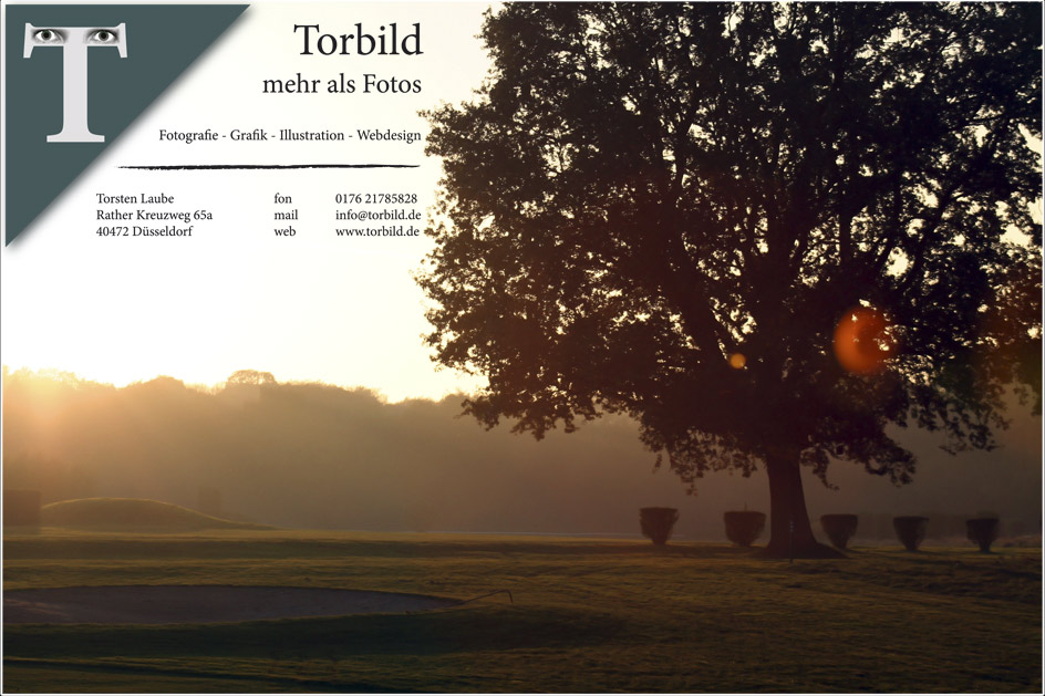 Torbild Logo